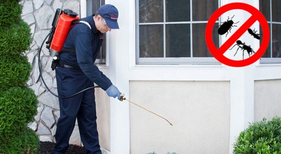 Konyaaltı Sivrisinek İlaçlama böcek ilaçlama ve haşere kontrolü — ilaclama-tr.com